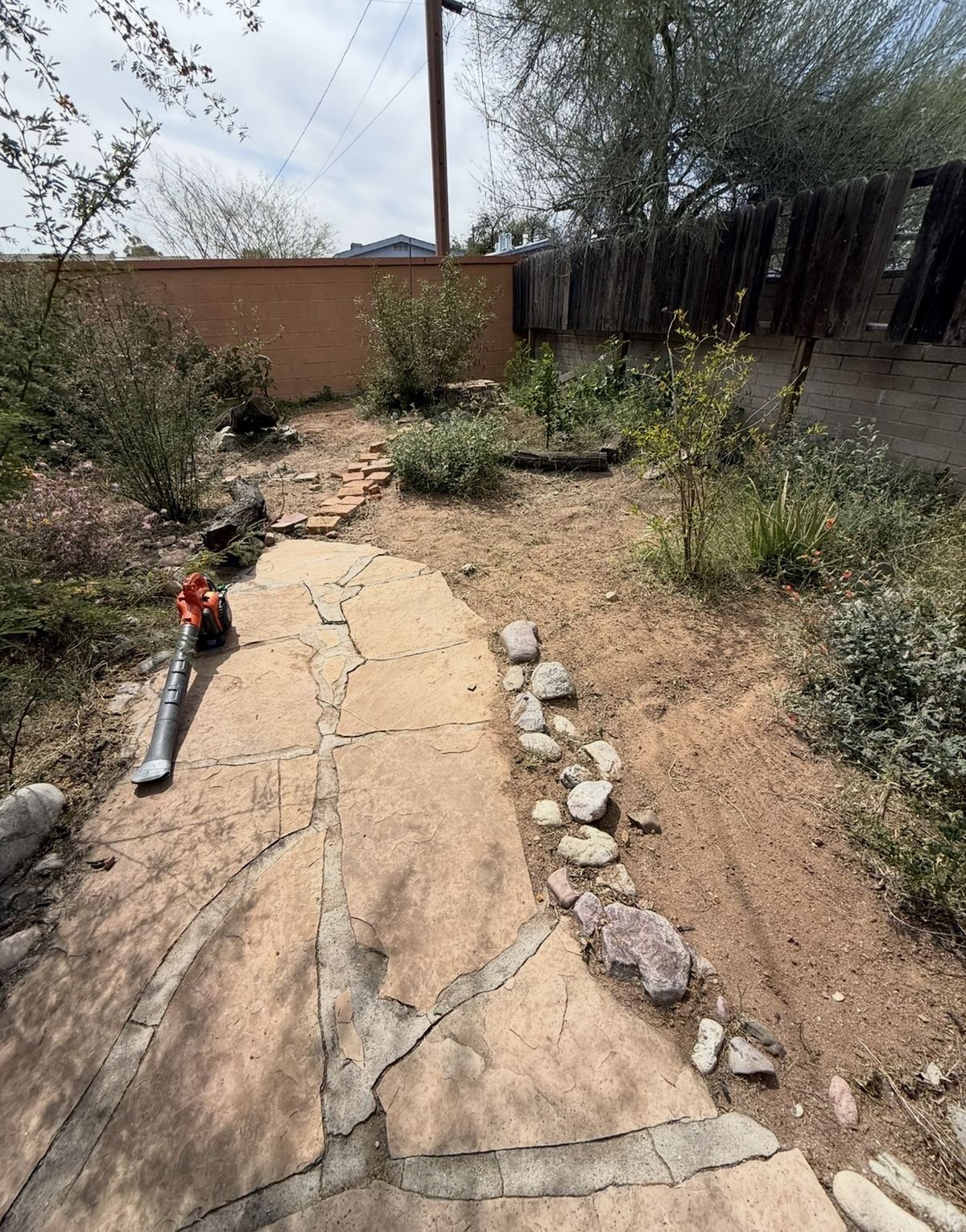 Cleared, cleaned-up yard and path after cleanup